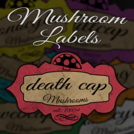 6 Custom Mushroom Labels | Print in Full Color on Sticker Paper